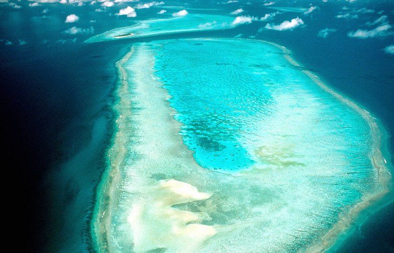 Great Barrier Reef suffers its most widespread mass bleaching event on ...