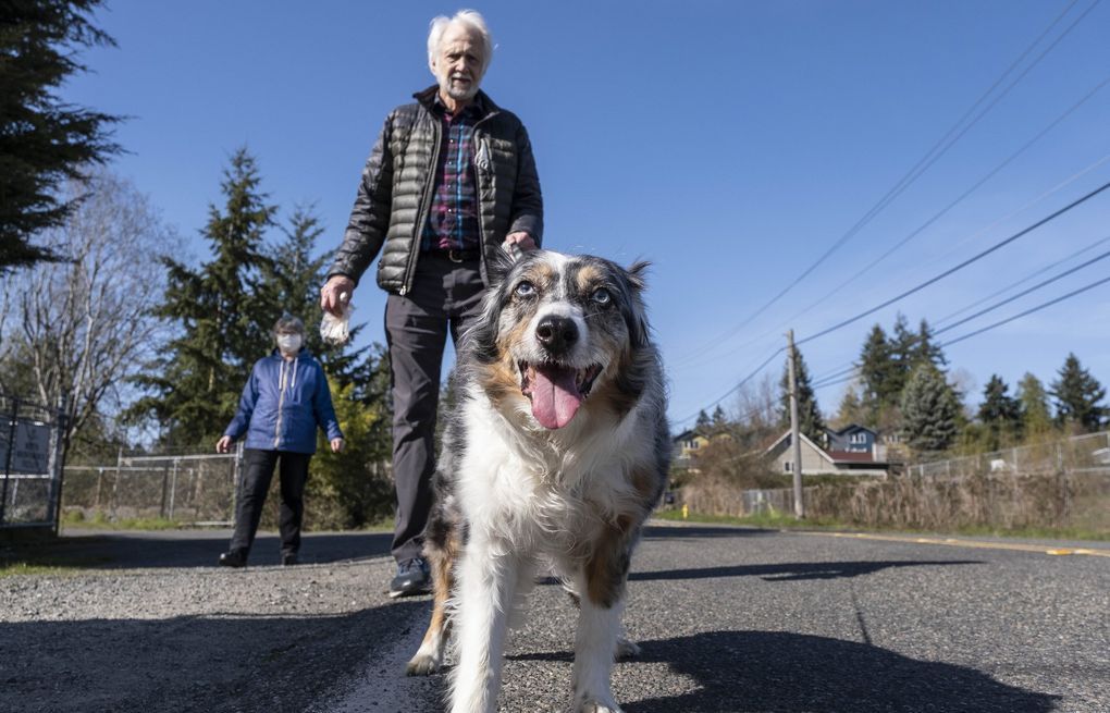Like everyone else, Garry and Joyce Lingerfelt want very much to get out of their Shoreline condo and walk with their dog, Hillary. But where they live is also like a lot of neighborhoods that lack sidewalks to move safely along. (Dean Rutz / The Seattle Times)