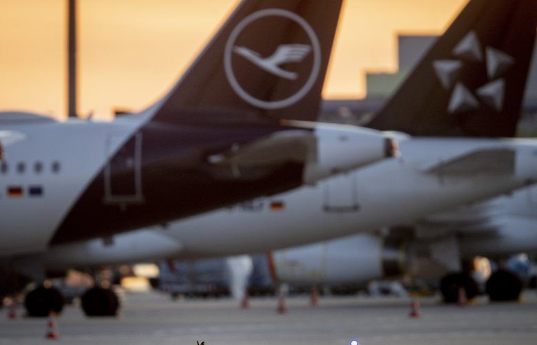 A hare runs along grounded Lufthansa planes at the airport in Frankfurt, Germany, Saturday, April 11, 2020. Due to the coronavirus Lufthansa had to cancel 95 percent of its flights. (AP Photo/Michael Probst) PFRA105 PFRA105