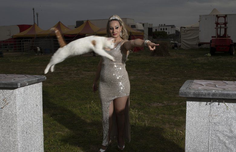 Anamaria Bud shows her “cat number” at the Romina Orfei Circus, parked in San Nicola la Strada, near Naples, Italy, Sunday, April 19, 2020. Anamaria and her husband Alyn Valeriou are thinking to leave the circus to open an educational farm. “But now we are stuck here” said Anamaria. The Orfei itinerant circus made its last performance on March first, after that show the national shutdown of public events to contain the spreading of the COVID19 in Italy blocked 94 animals and nine families. (AP Photo/Alessandra Tarantino) ALT115 ALT115