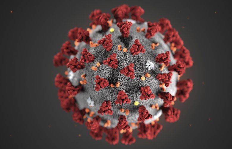 This illustration provided by the Centers for Disease Control and Prevention in January 2020 shows the 2019 Novel Coronavirus (2019-nCoV). This virus was identified as the cause of an outbreak of respiratory illness first detected in Wuhan, China. (CDC via AP) NY421 NY421