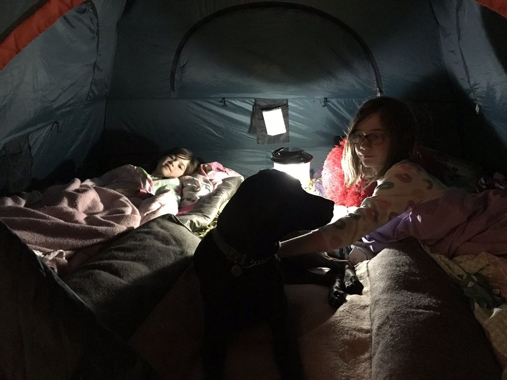 Siena Higginson, 11, pets Quinn, a black Lab, as they get ready to click off the lantern in their tent. Clara Higginson, 9, is at left. (Kris Gilroy Higginson / The Seattle Times)