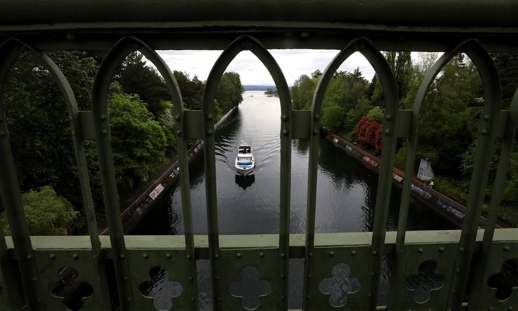 A lone motorboat heads west through the Montlake Cut on Saturday, May 2, 2020. (Alan Berner / The Seattle Times)