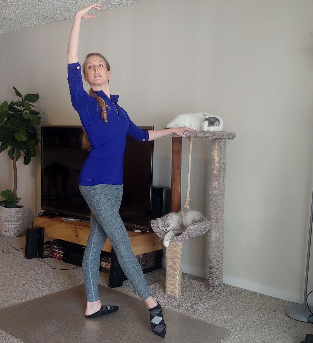 Sarah Villwock, corps de ballet member with Pacific Northwest Ballet, does barre exercises with her cats Casper (white) and Mitzi (gray). (Sarah Villwock)