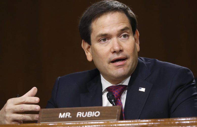 rubio committee assignments