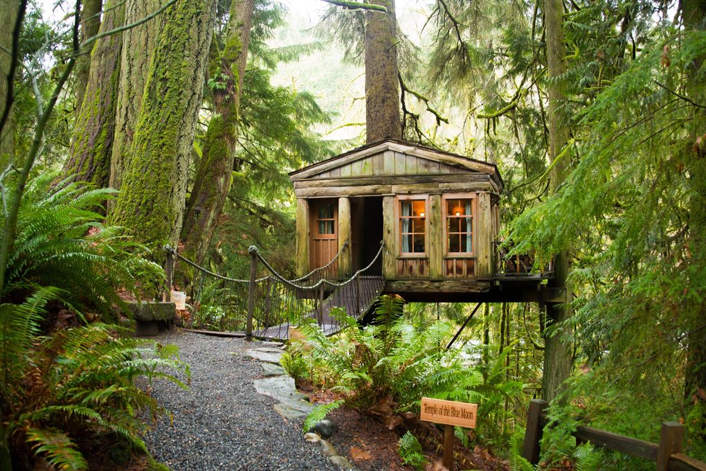 A treehouse is shown at TreeHouse Point. The notoriously booked-full collection of treehouses should be easier to rent this summer with international and interstate travel down. (Tantri Wija / Special to The Seattle Times)