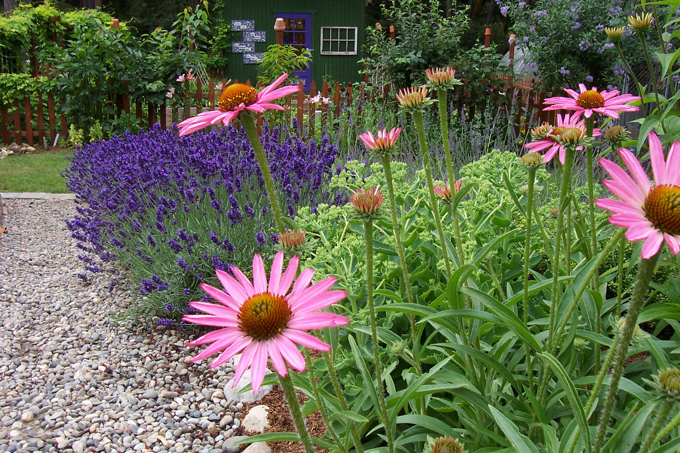 0524-GrowHerbGarden.jpg?d=