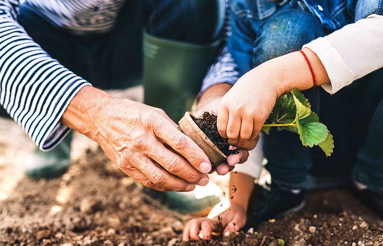 Seattle garden guide What to plant, no matter the size of your space