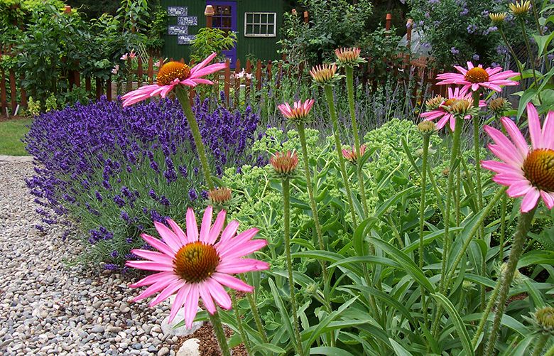 ミュージシャン HERB GARDEN caption.jpg?w=1200&h=1200&s=1