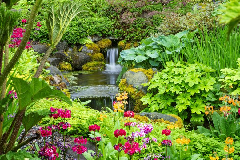 A Redmond gardener finds peace, hope and focus in the life-affirming  evolution of her landscape