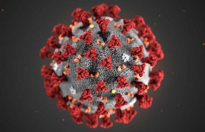 This is what the new strain of the coronavirus looks like under a microscope. 1601850 1601850