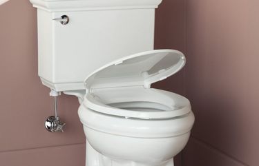 SH12A130PLUMBER Jan. 23, 2012 — When it comes to toilet seats, there are a few issues to consider to ensure you make the right choice. (SHNS photo courtesy Kohler)