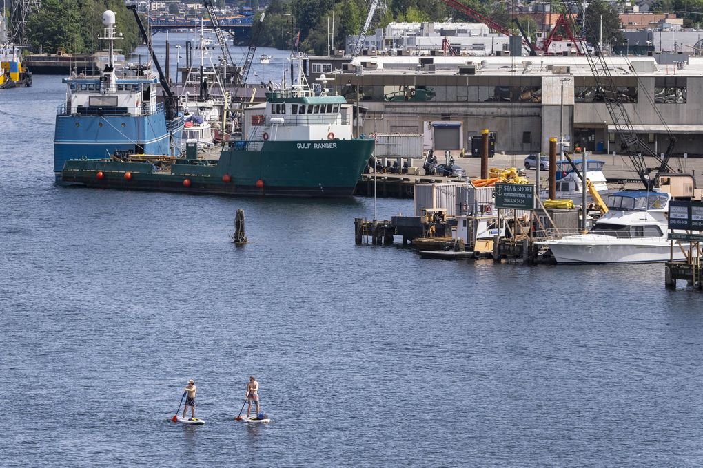 Two paddle boarders work their way recently along the Lake Washington Ship Canal near the Ballard Bridge, flanked by vessels many times larger than themselves. (Dean Rutz / The Seattle Times)