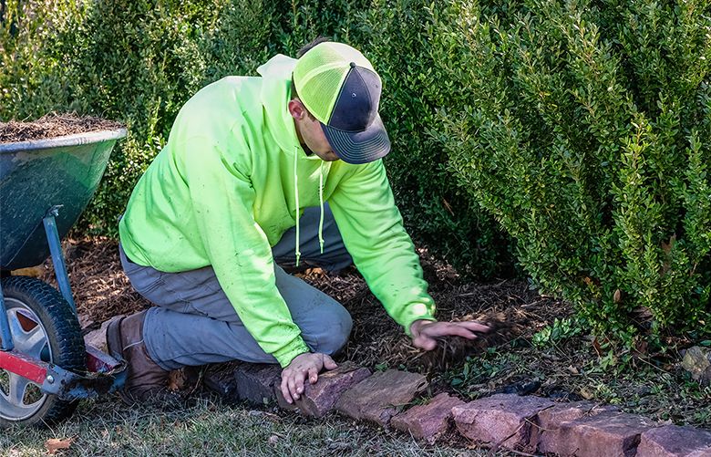 5 steps for making your own garden mulch | The Seattle Times