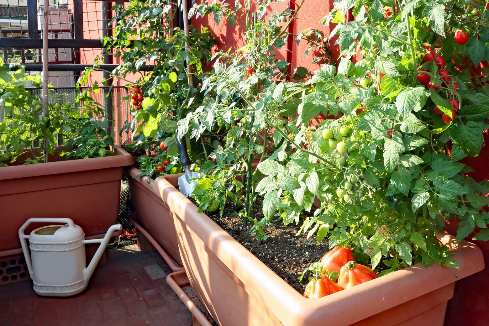 How to Compost on a Balcony - Mini Garden Spaces