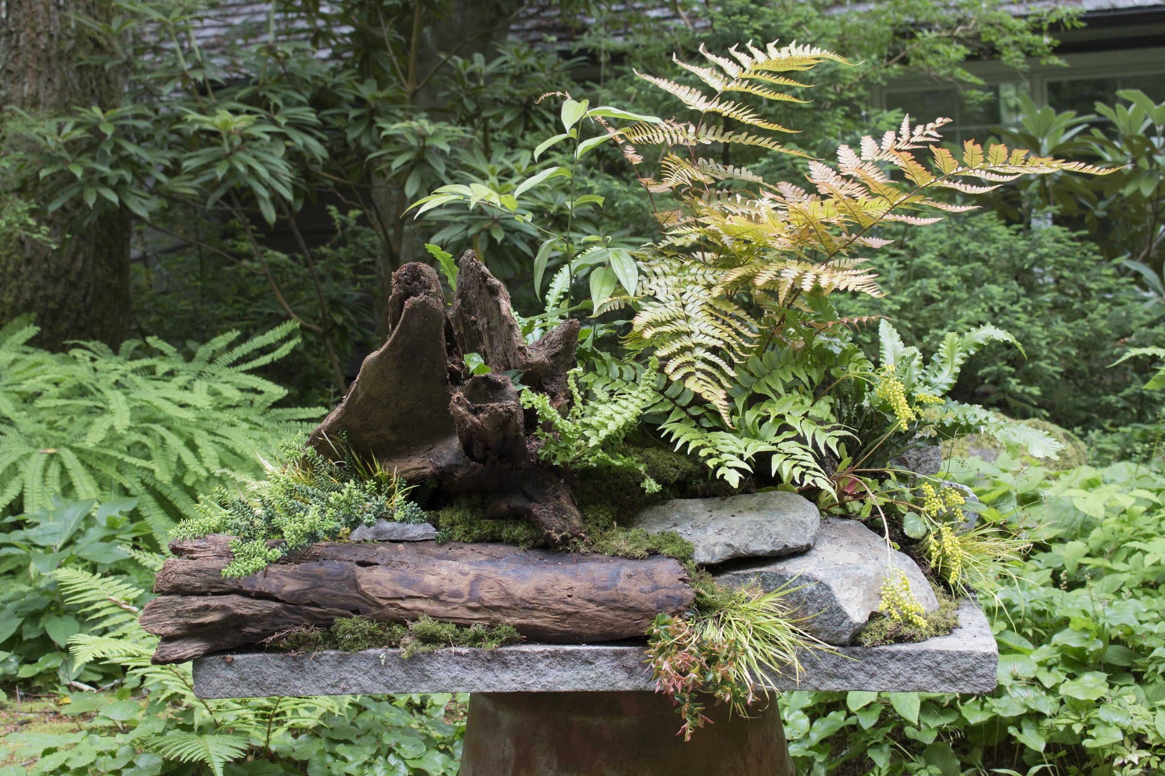 Fern table store