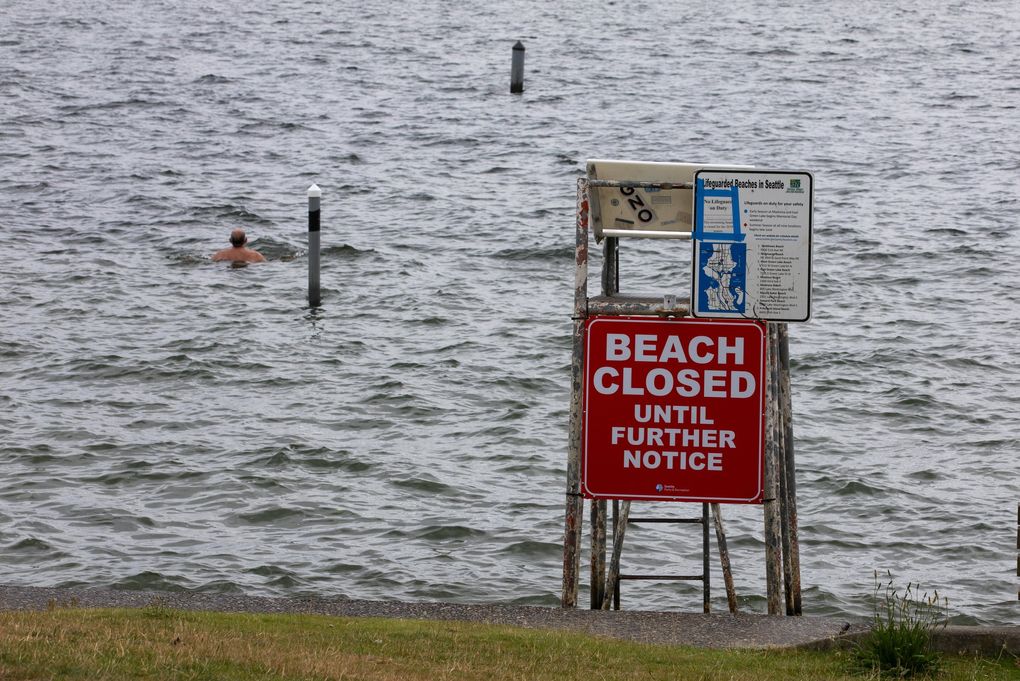 A swimmer in Lake Washington at Madison Park Beach Thursday.
(Ellen M. Banner / The Seattle Times)