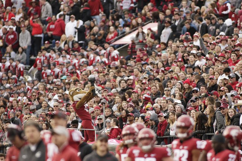 WSU and OSU fans react ahead of Pac-2 game