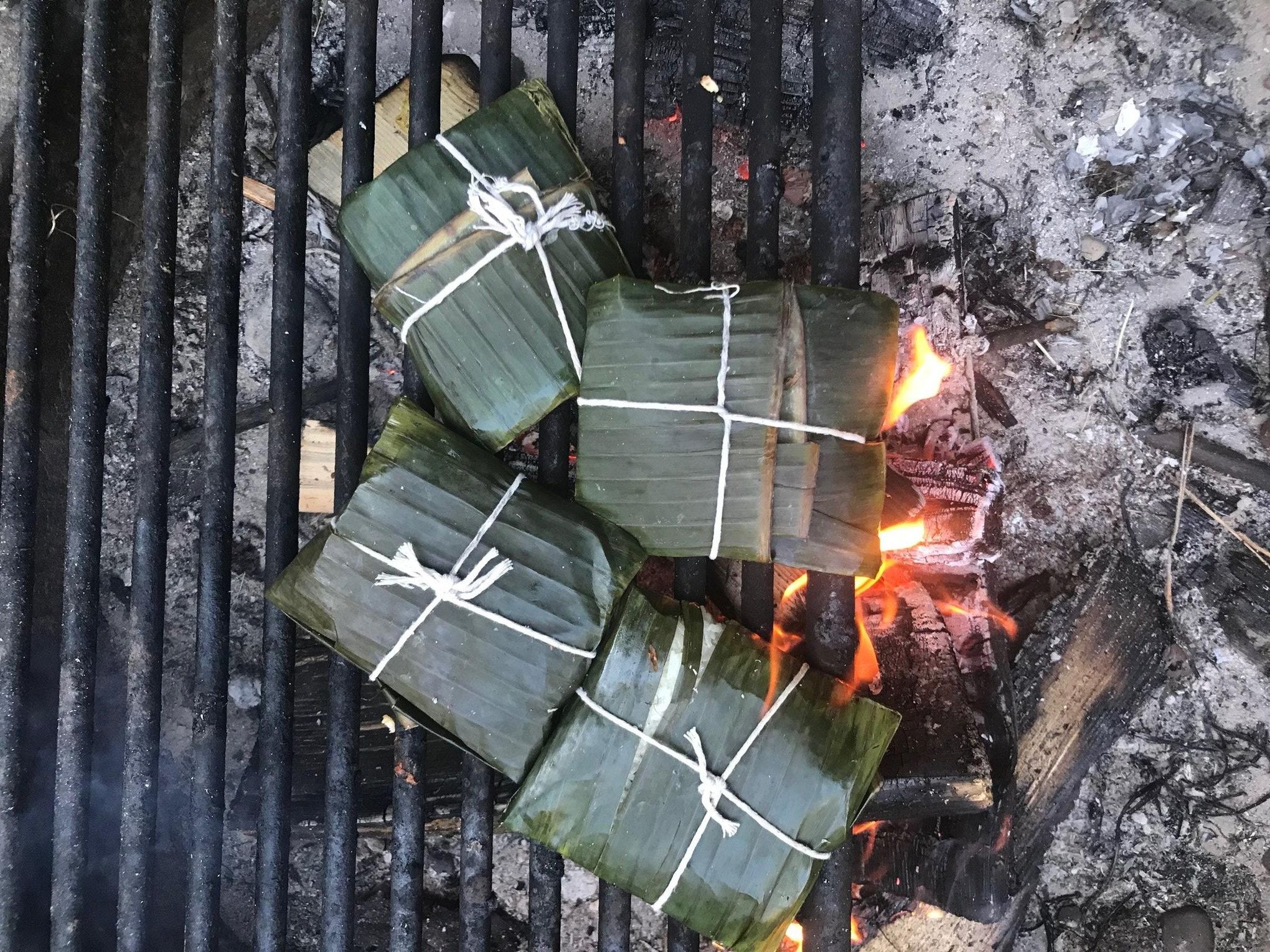 cooking with tobacco leaves From Seed to Cigar: The Leaf's Journey Level up your campfire cooking