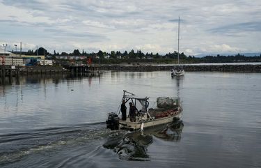 Mark Seymour, right, owner of Drayton Oysters, hauls oysters to Blaine, Wash., July 16, 2020. When the border between the U.S. and Canada closed to nonessential travel on March 21, the southbound traffic into Blaine – the busiest crossing between Washington and British Columbia – slowed to a trickle, crippling the town’s economy. (Ruth Fremson/The New York Times) XNYT30 XNYT30