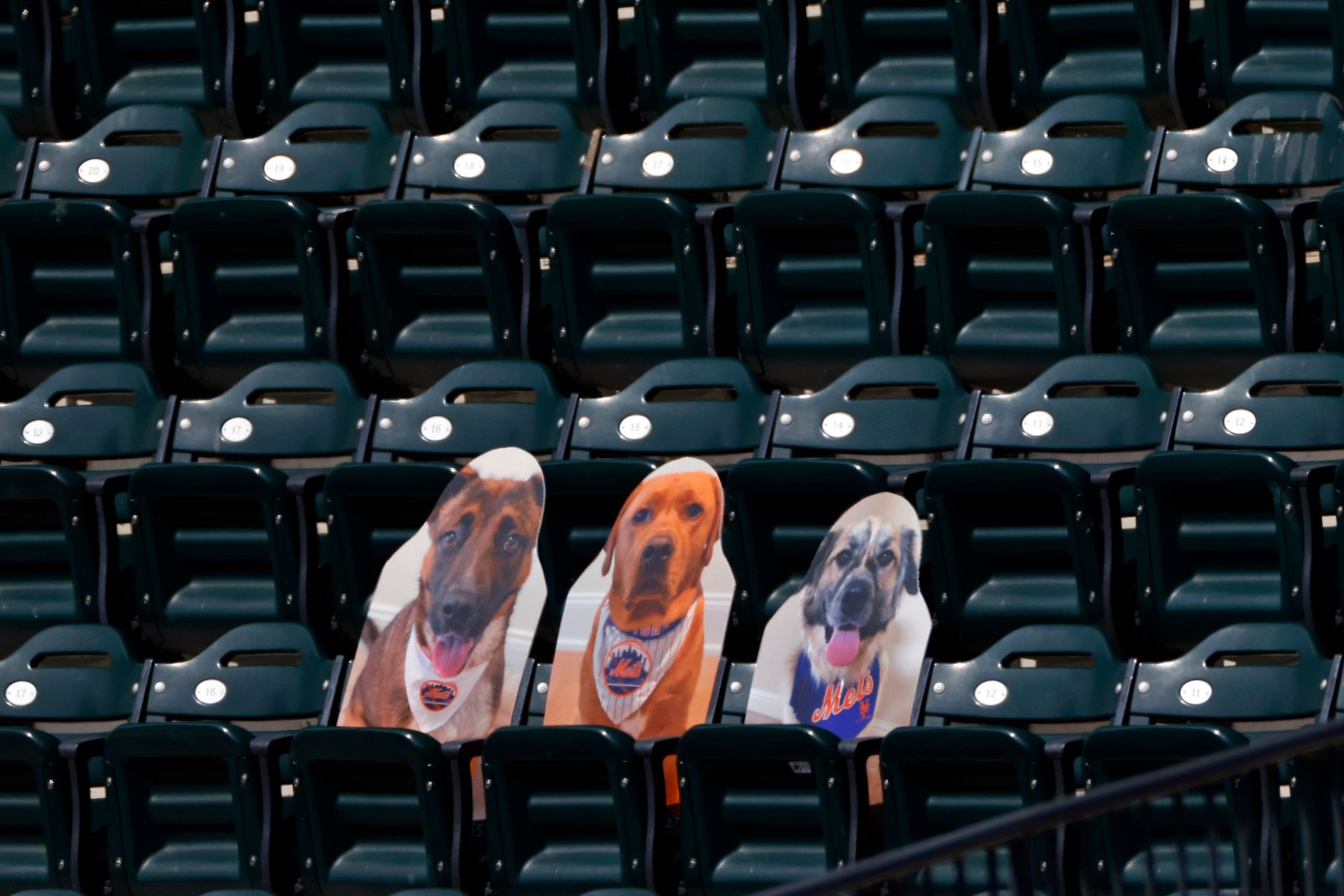 Watch: Braves' Adam Duvall hit cardboard dog in bleachers with home run