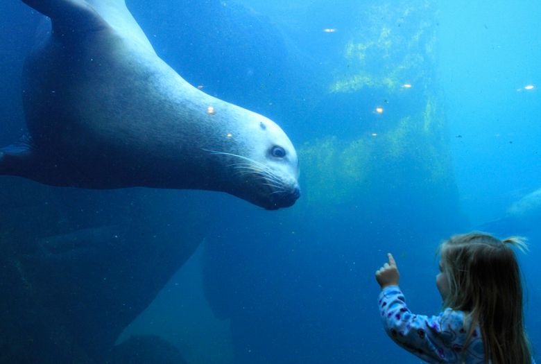 Adopt-an-Animal - Alaska Sealife Center