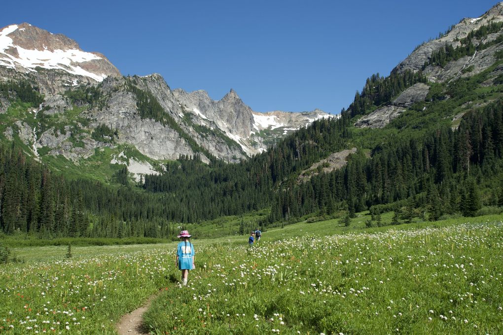 Broad and majestic Spider Meadow is carpeted with a vast array of wildflowers. (Bob Swenson / Special to The Seattle Times)