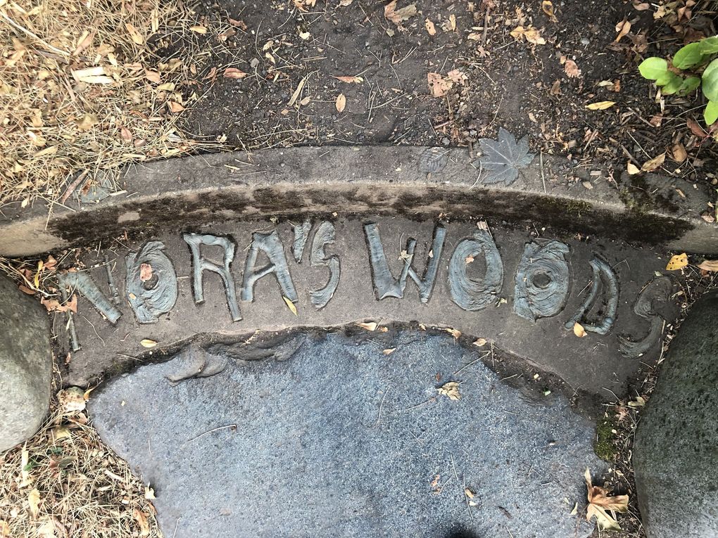 Nora’s Woods, at the eastern edge of East Columbia Street, is a tiny natural getaway named for late Madrona resident Nora Wood, who purchased the plot in 1987. (Trevor Lenzmeier / The Seattle Times)