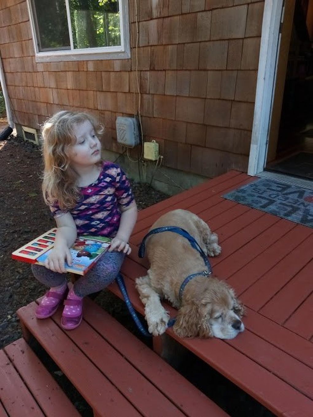 Tibbs resting with Vicki’s granddaughter Tessa. (Courtesy of Vicki Minney)