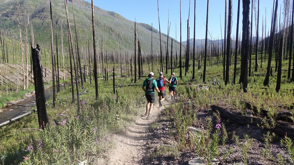 RATBOB runners along Youngs Creek Trail in the Bob Marshall Wilderness. This area is recovering from the 2017 Rice Ridge fire that killed one firefighter. Youngs Creek can be seen on the left of the trail. (Courtesy of Frank Field)