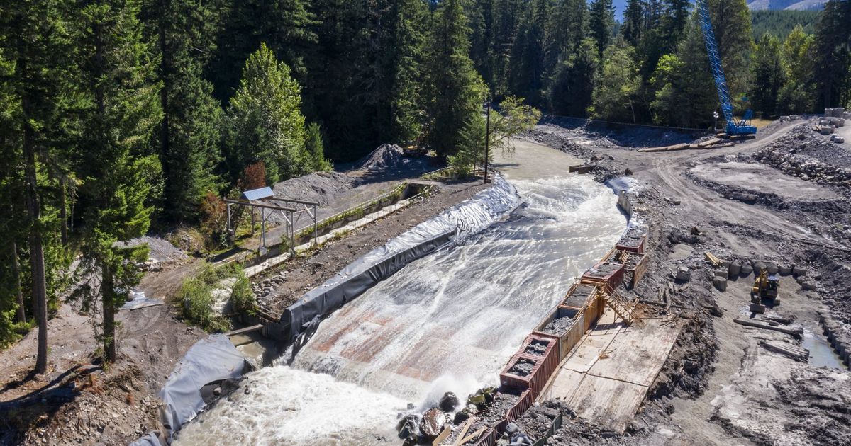 Rubber debris litters miles of Puyallup River after artificial turf was ...