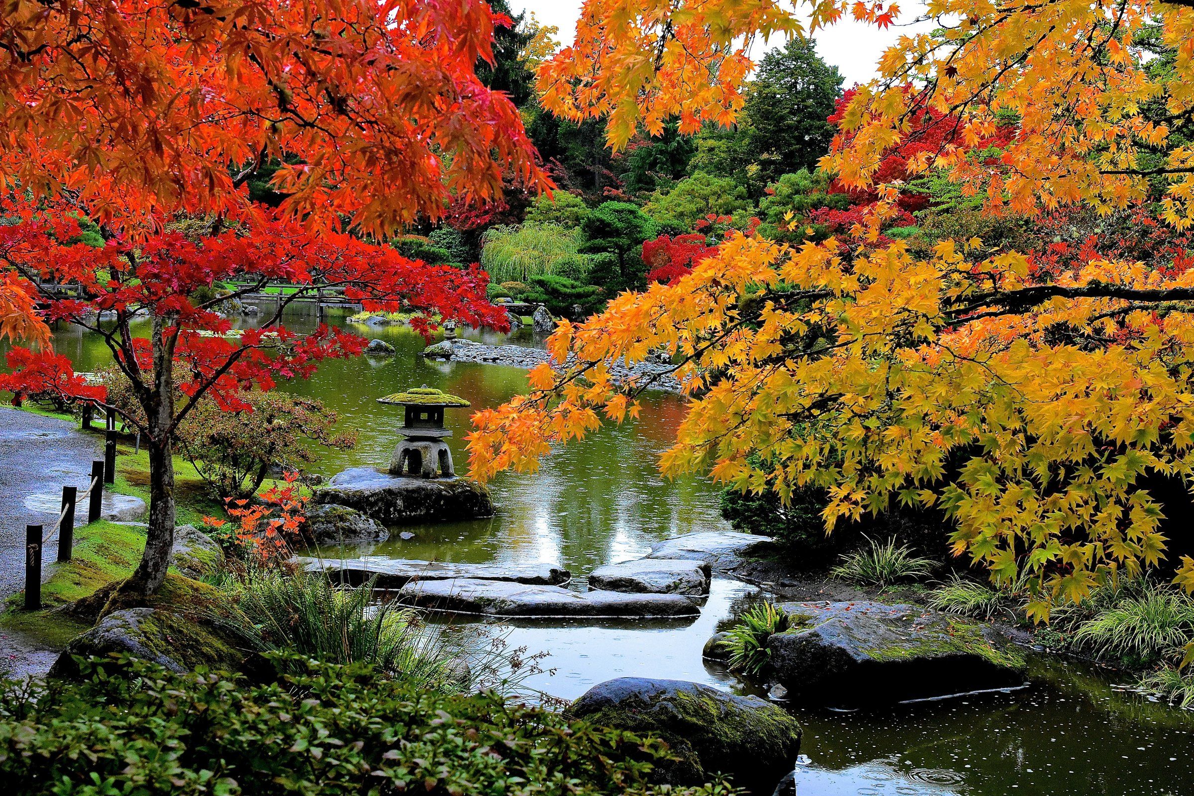 The Seattle Japanese Garden turns 60 with fitting testaments to