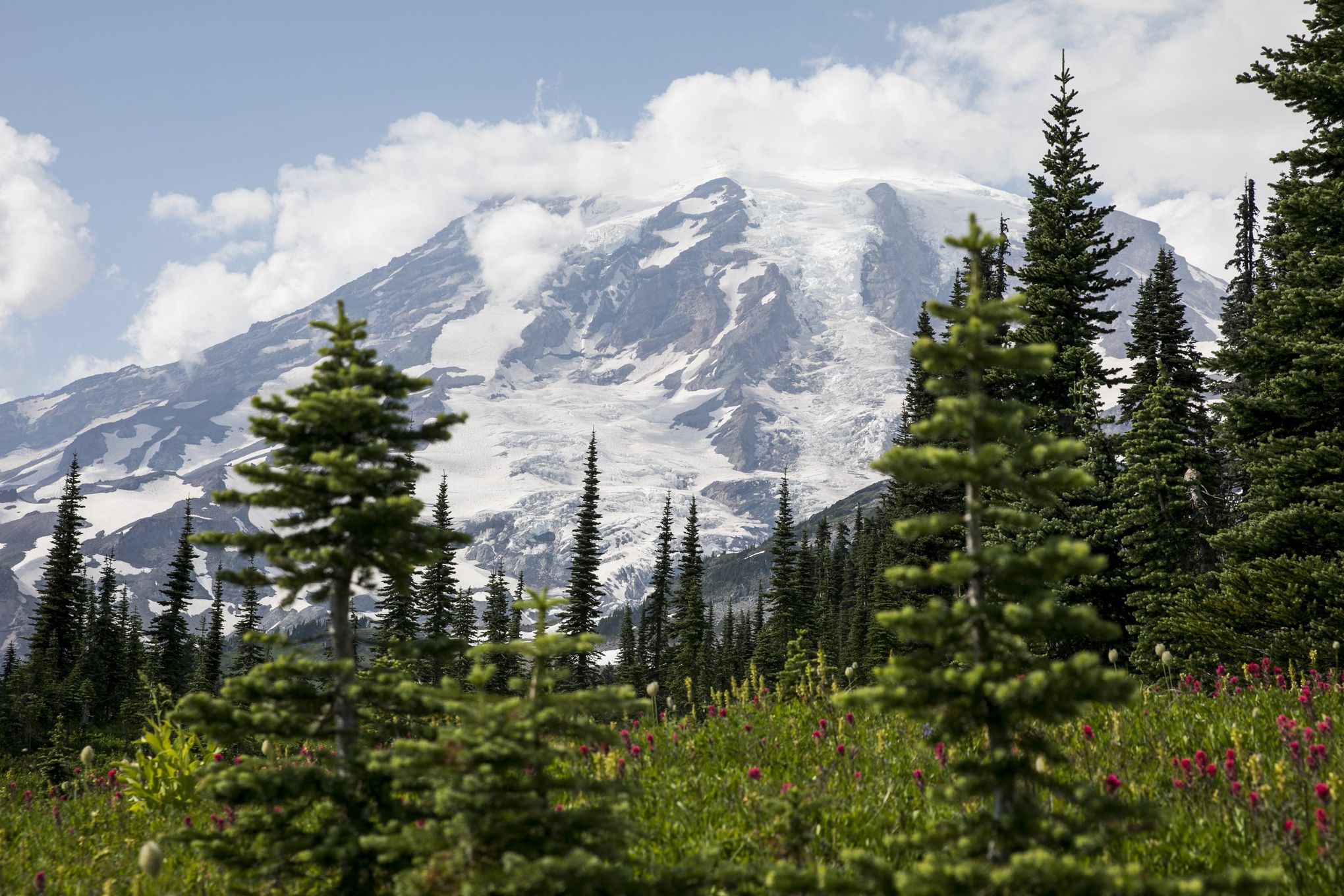 Paradise - Mount Rainier National Park (U.S. National Park Service)
