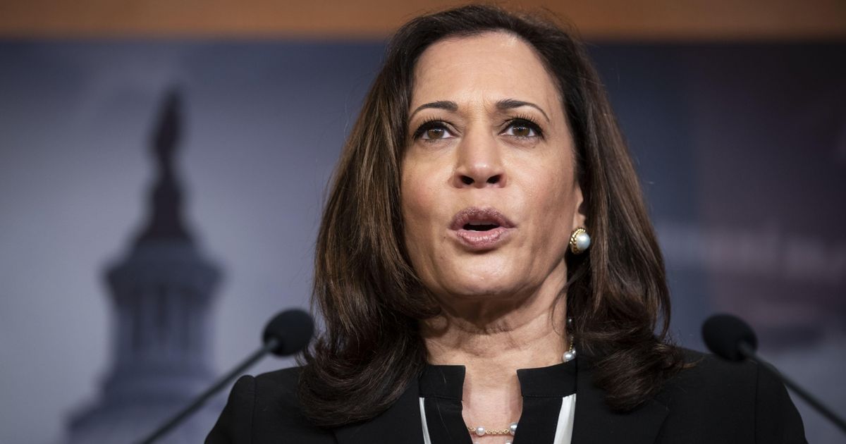 Harris brings experience and law-and-order baggage to Biden ticket ...