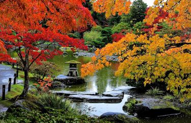 The Seattle Japanese Garden turns 60 with fitting testaments to rebirth ...