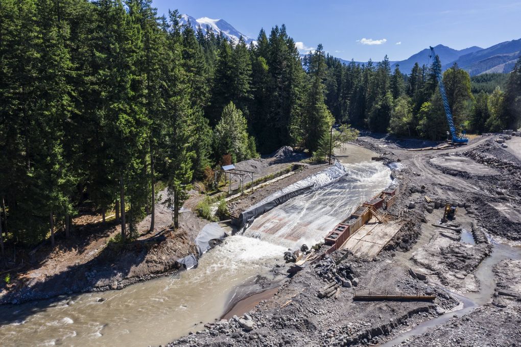 Old artificial turf was used in a construction project at the Electron Dam on the Puyallup River, here with its source, Mount Rainier, visible in the background. (Steve Ringman / The Seattle Times)