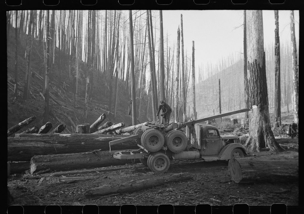 Logs are loaded onto a truck as the Tillamook Burn area is cleared in Tillamook County, Oregon, in October 1941. (Russell Lee / Library of Congress)