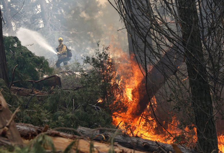 How to Help Fire-Ravaged California (and Oregon and Washington