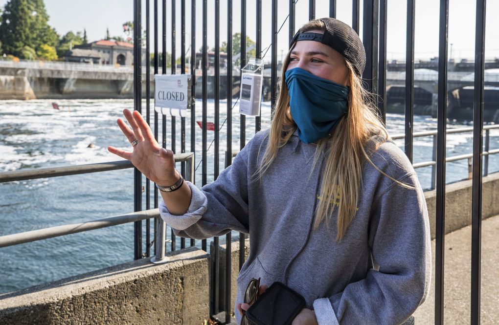Biologist Laura Bogaard explains why a noisemaker might give salmon a better chance to navigate the Ballard Locks without becoming a snack for salmon: “It’s my sense the seals spend more time further away when it is on, and when it is off, they are closer.” (Steve Ringman / The Seattle Times)