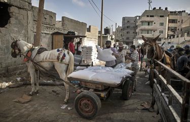 A Palestinian man loads a horse cart with sacks of flour received from the UN Relief and Works Agency, (UNRWA), at a warehouse in Gaza City, Wednesday, Sept. 30, 2020. (AP Photo/Khalil Hamra) KH105 KH105