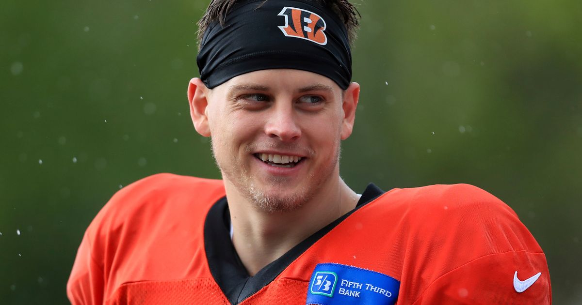 Jordan Palmer expects Joe Burrow to have a better rookie year than Andy  Dalton - Cincy Jungle