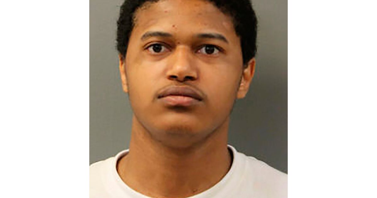Man accused in fatal stabbing of Chicago woman denied bond | The ...