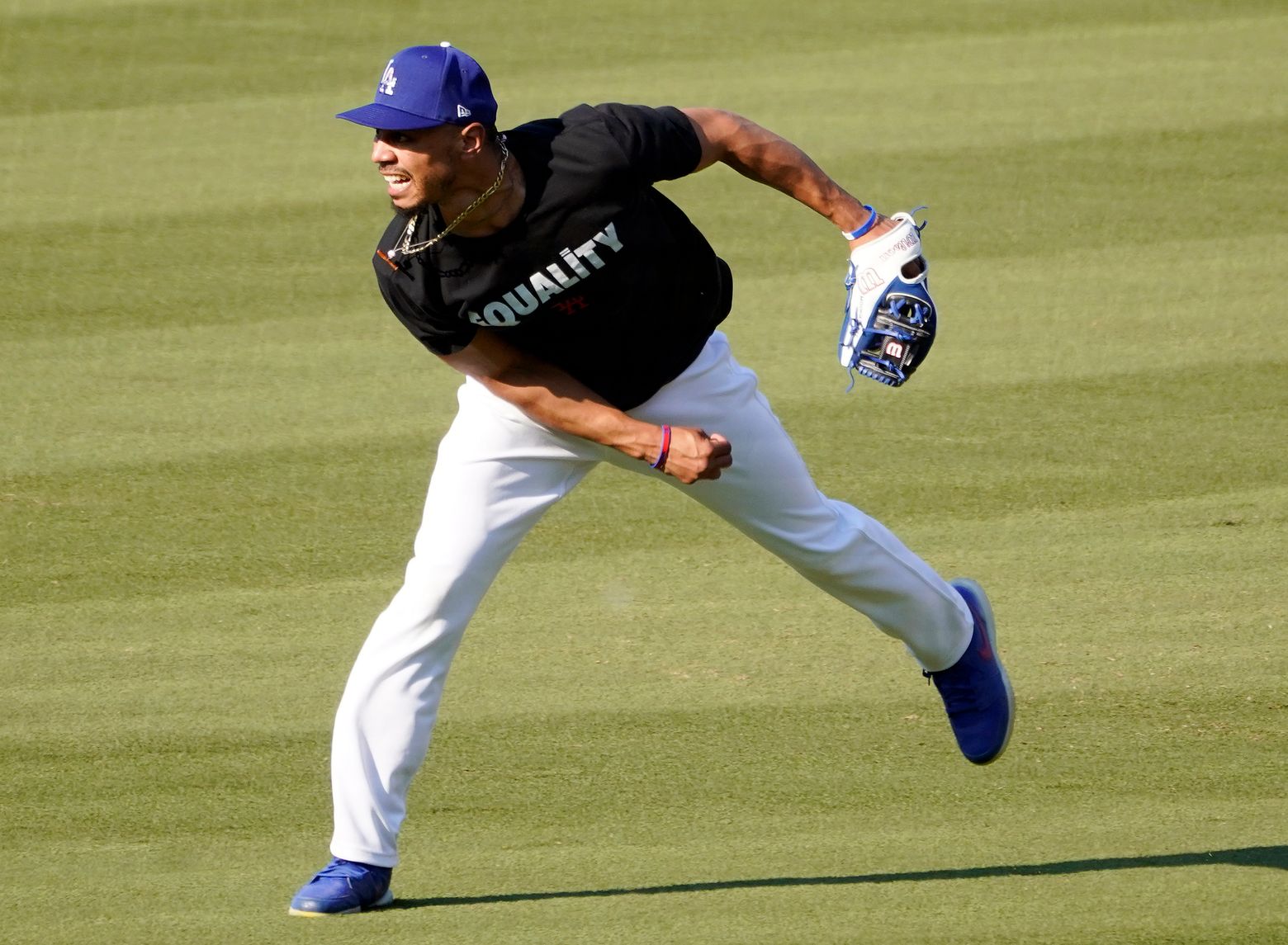 A capsule look at the Cardinals-Dodgers playoff game