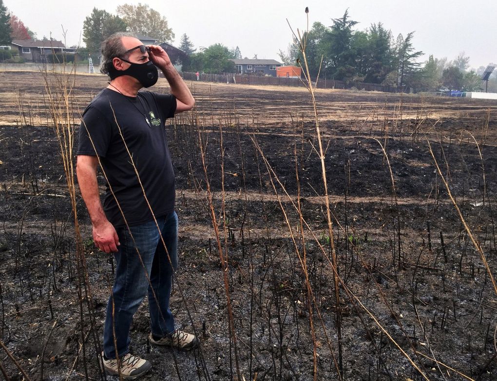Forest scientist Dominick DellaSala surveys the field near a dog park that was the ignition point for the Almeda Fire, one of the most destructive in Oregon’s history. (Hal Bernton / The Seattle Times)