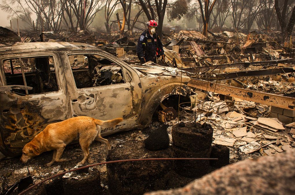A team searches for casualties of the Almeda Fire last month in Talent, Oregon. (Alisha Jucevic / The New York Times)