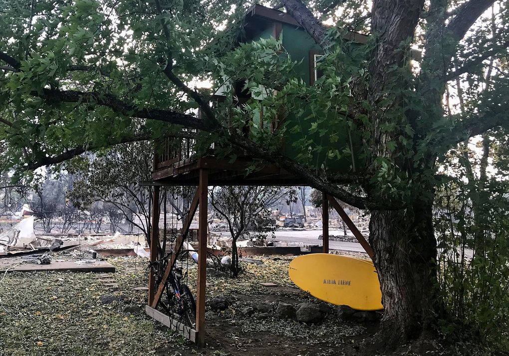 A treehouse cradled in a maple tree emerged unscathed from the Almeda Fire in southwest Oregon even as homes around it were leveled. Some trees with lush green leaves helped shelter structures from the fiery embers. (Hal Bernton / The Seattle Times)