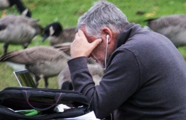Friday, October 9, 2020    LO  Working remotely at the Stan Sayres Memorial Park takes real concentration as a gaggle of geese does their own work on the grass.   215316