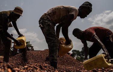 Workers gather dried cocoa beans outside a cooperative facility earlier this year in the Ivory Coast village of Gloplou. MUST CREDIT: Washington Post photo by Salwan Georges.