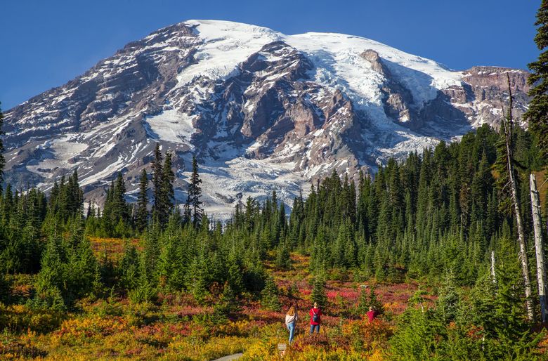 Photographing Fall Foliage in Mount Rainier National Park