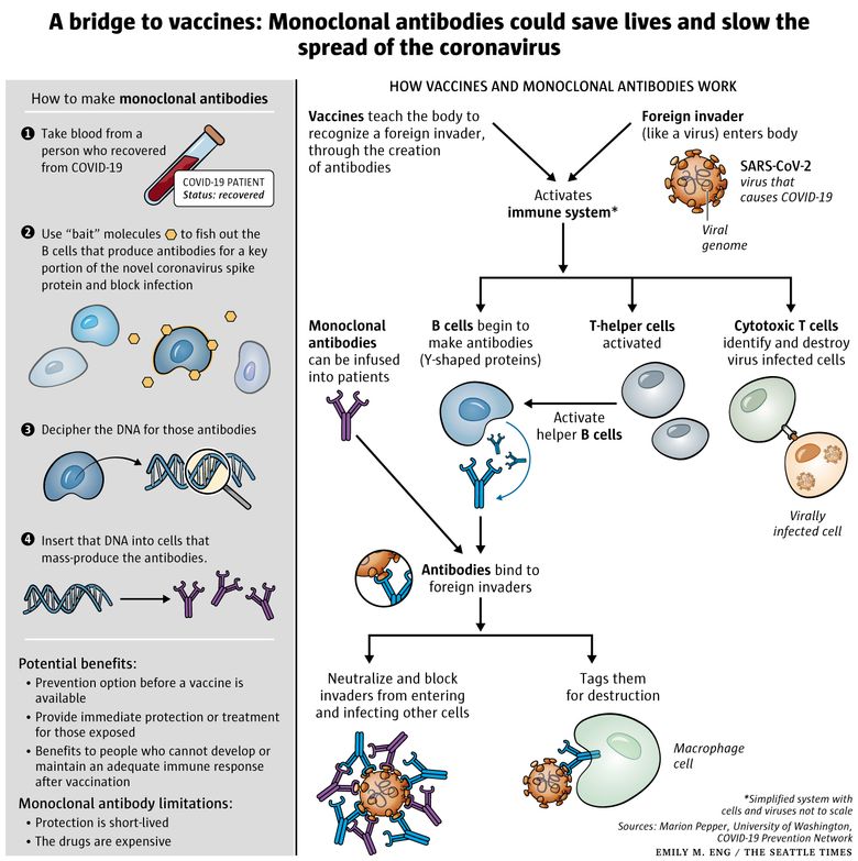 Antibodies and Vaccines as Drugs for COVID-19